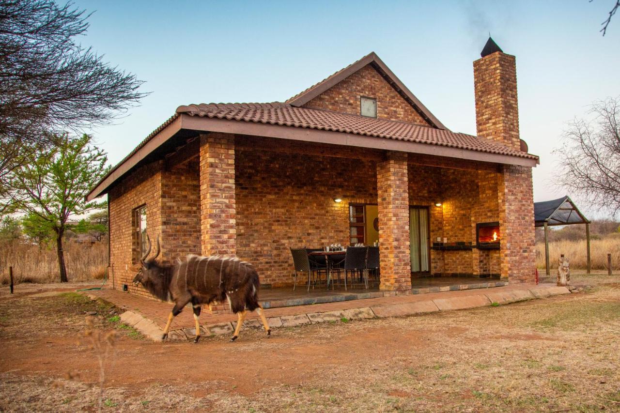 Sondela Nature Reserve & Spa Chalets بيلا-بيلا المظهر الخارجي الصورة